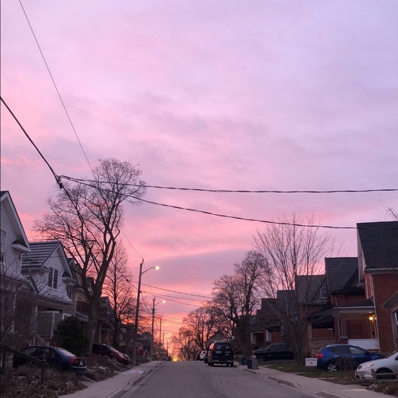 Meet your Posher, Ahmie - Picture 1 of 1